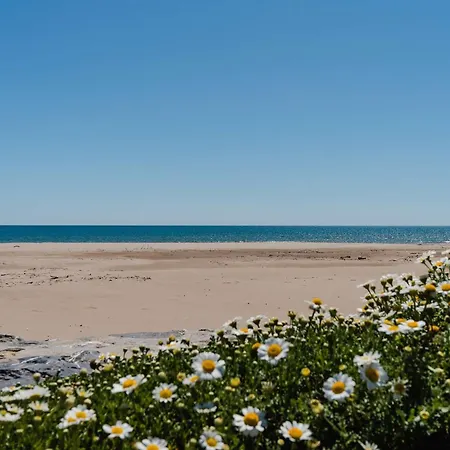 Willa Mezzanine Narbonne-plage, 4 Pers, Parking, Wifi - Fr-1-409-51 *