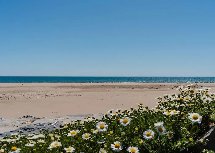 فيلة Mezzanine Narbonne-plage, 4 Pers, Parking, Wifi - Fr-1-409-51 *